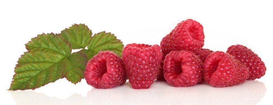 raspberry-ketone1