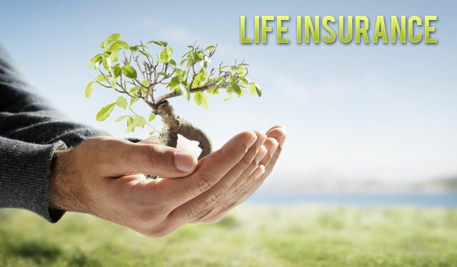 Best Quotes Life Insurance 