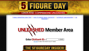 5 Figure Day Review