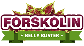 forskolin-belly-buster